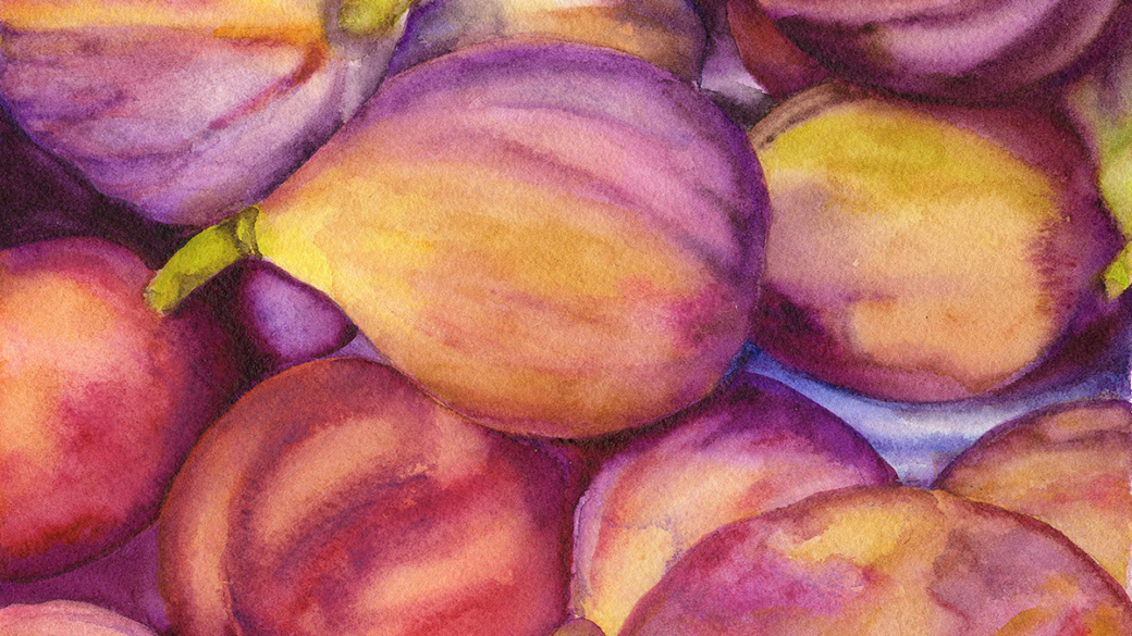 “Hattiesburg Figs” Giclée Print