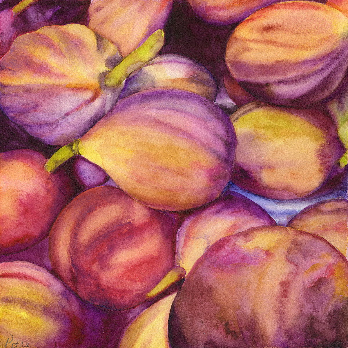 "Hattiesburg Figs" Giclée Print