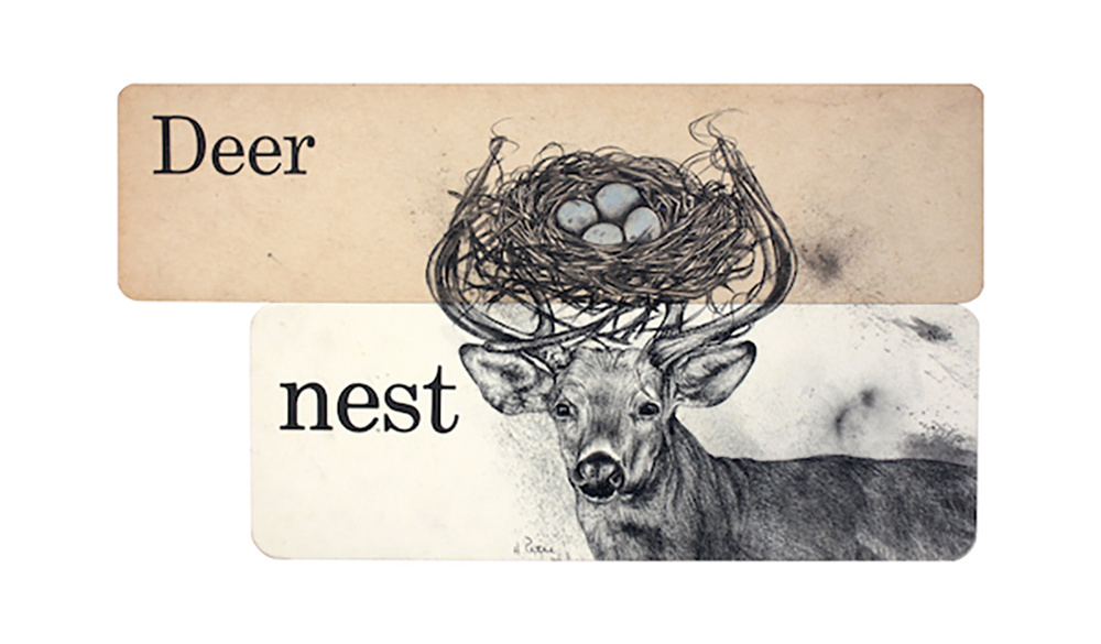 Flash Card “Deer nest” Giclée Print