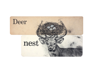 Heidi Pitre charcoal drawing of deer nest and deer with nest on vintage school flash cards