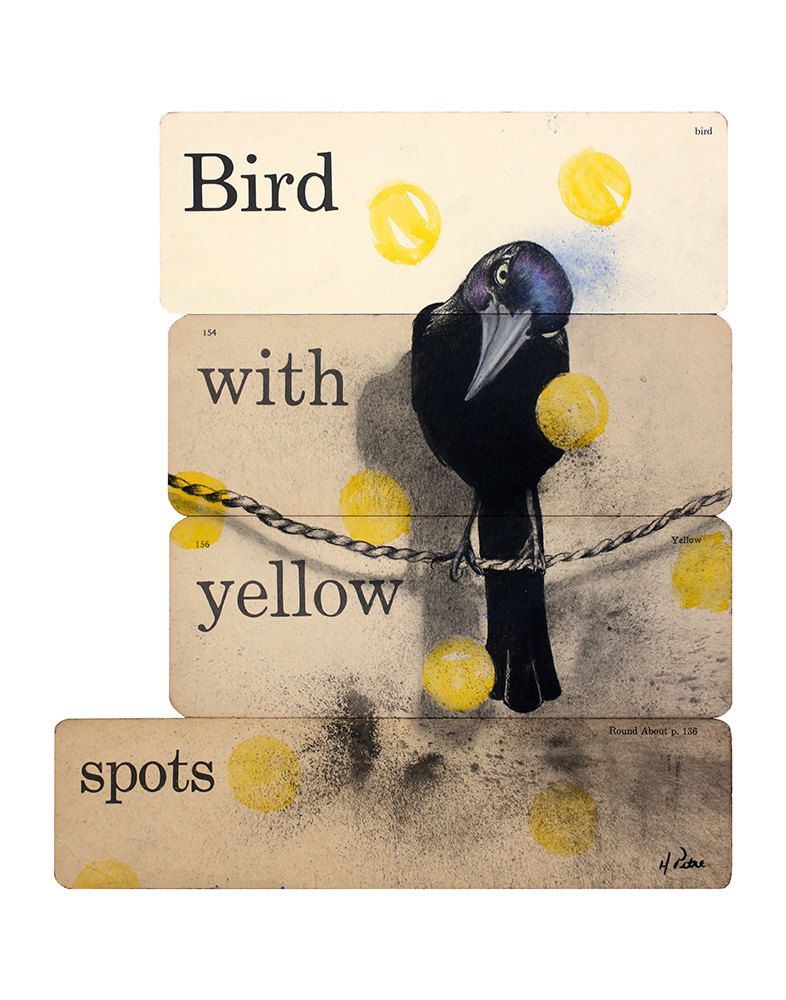 Heidi Pitre charcoal drawing of a bird on a string on vintage ephemera school flash cards. bird with yellow spots