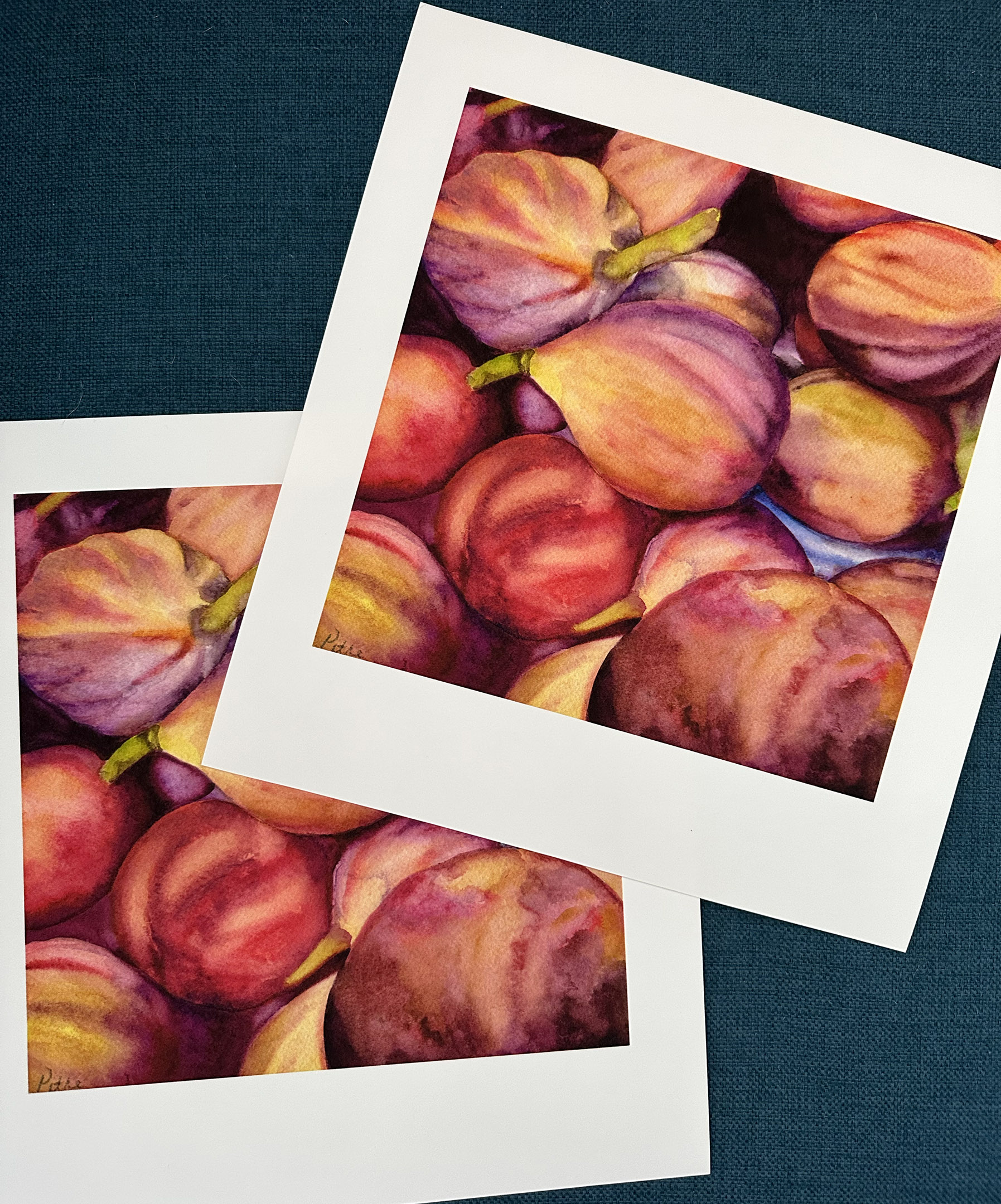 Heidi Pitre print of watercolor figs on arches cold press paper