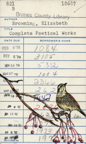 Heidi Pitre watercolor drawing of a bird on a branch for Elizabeth browning poetical works. gifts for librarians and book lovers.