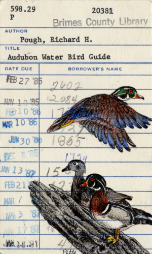 Heidi Pitre illustration of Audubon ducks in watercolor on vintage library card. gifts for librarians and book lovers.