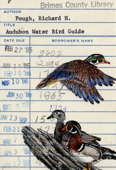 “Ducks” Upcycled Library Card Print