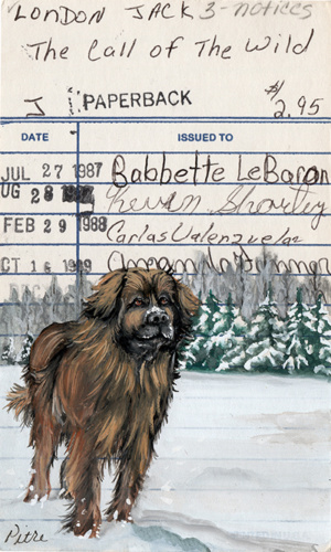 Heidi Pitre illustration of Call of the Wild on vintage library card.